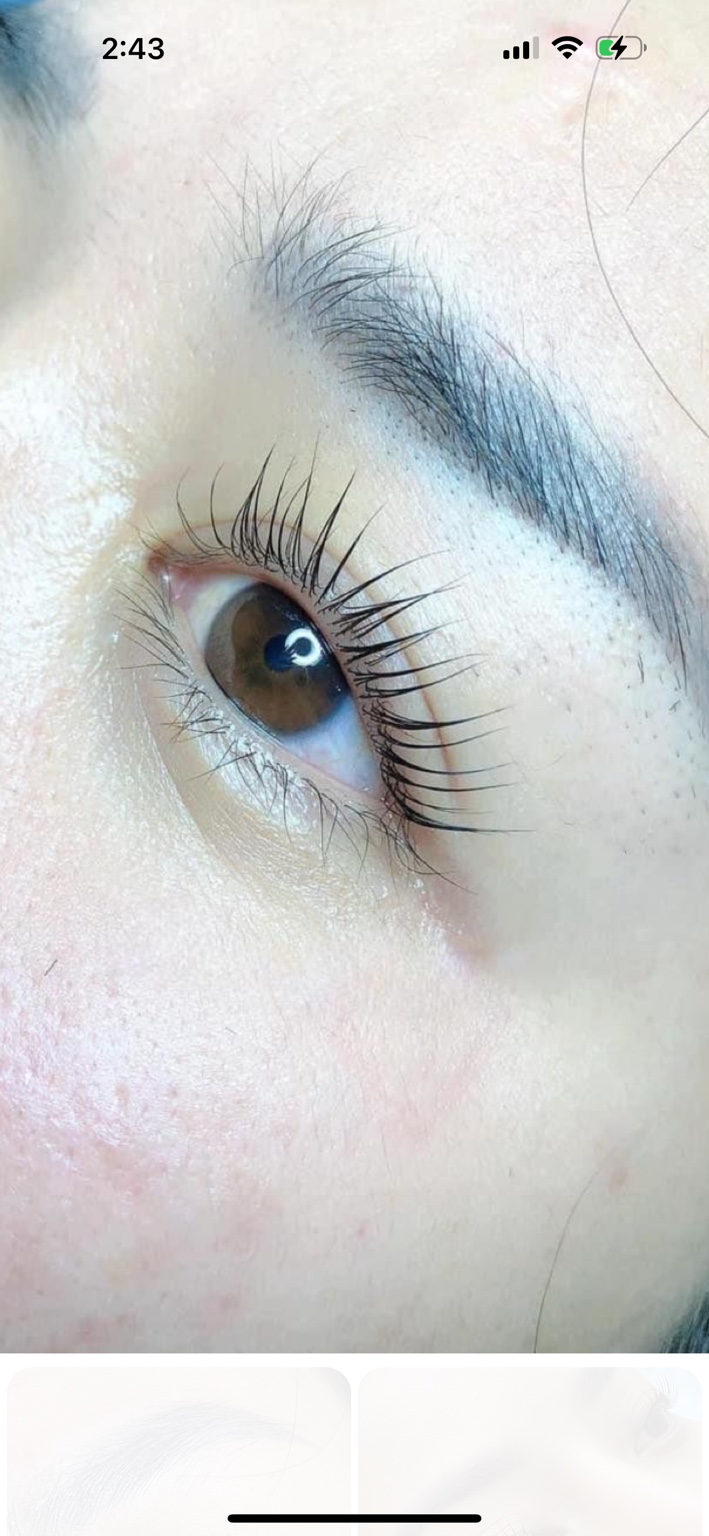 Korean lash lift result on brown eyes