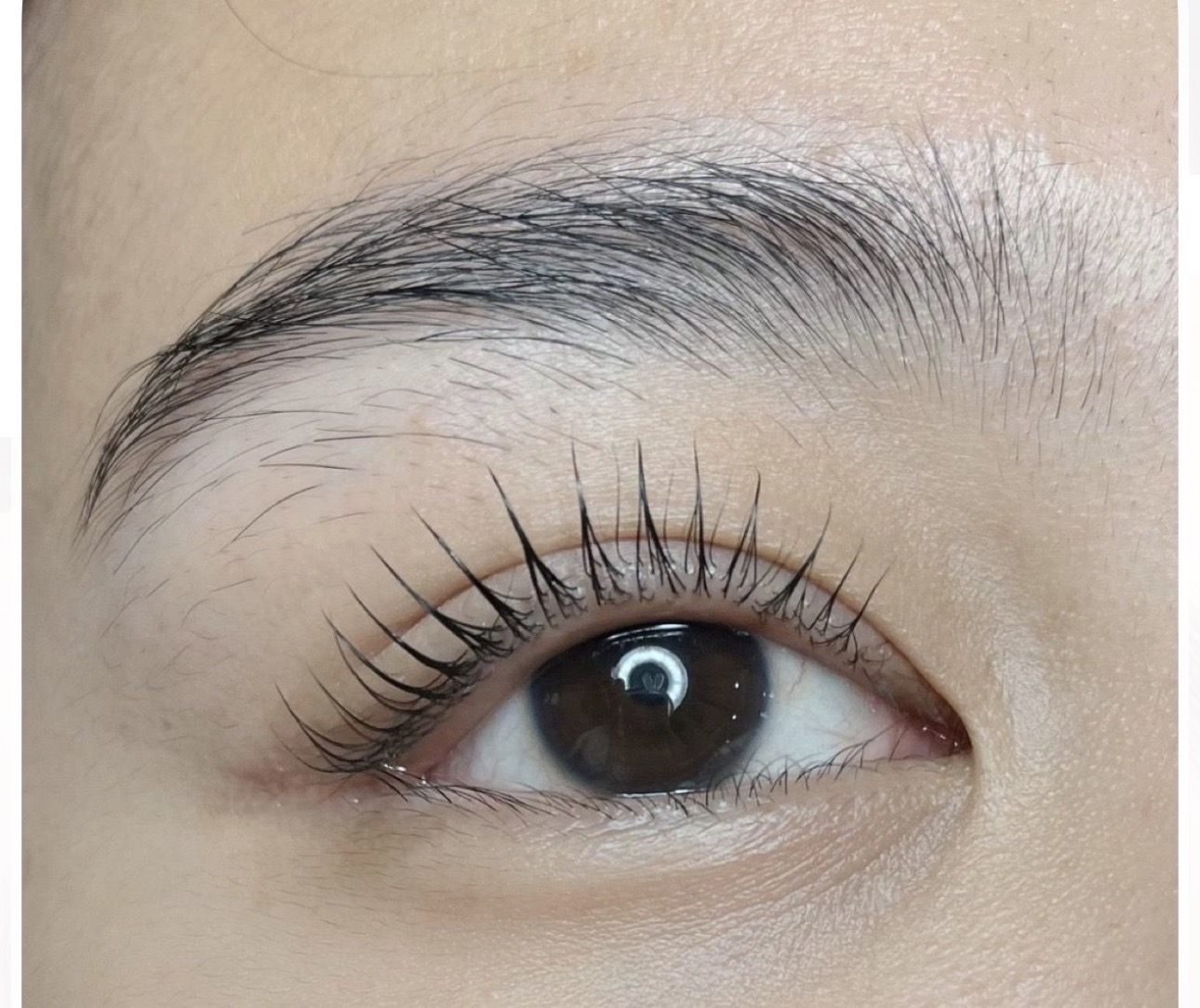 Korean lash lift result on dark lashes